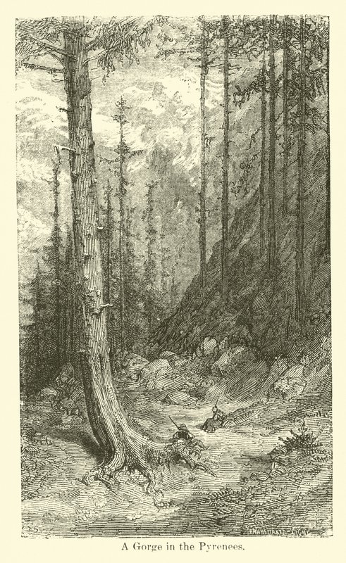 Soutěska v Pyrenejích od American School