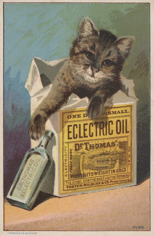 Reklama na Dr Thomas" Eclectric Oil od American School