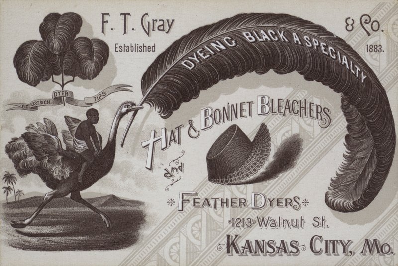 Reklama na FT Grey, odbarvovače klobouků a čepic a barvírny peří, Kansas City, Missouri, USA (litho) od American School