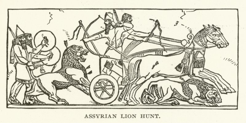 Lov asyrských lvů od American School