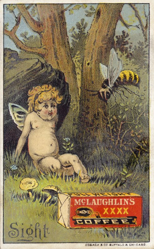 Včela útočící putto od American School