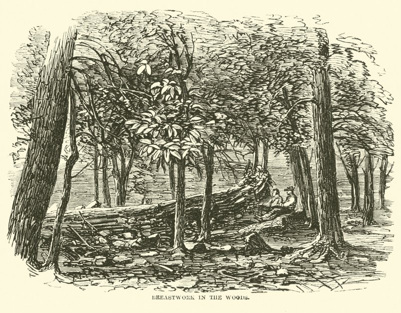 Breastwork v lese, červenec 1863 od American School