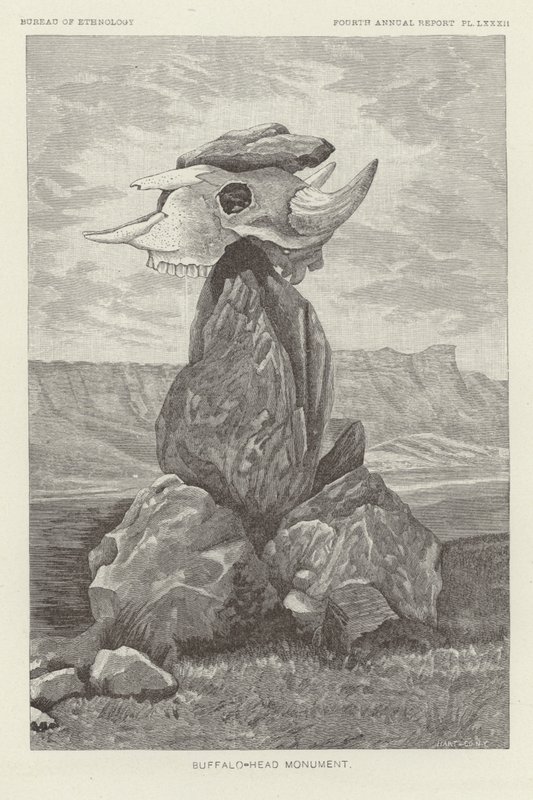 Památník Buffalo-Head od American School