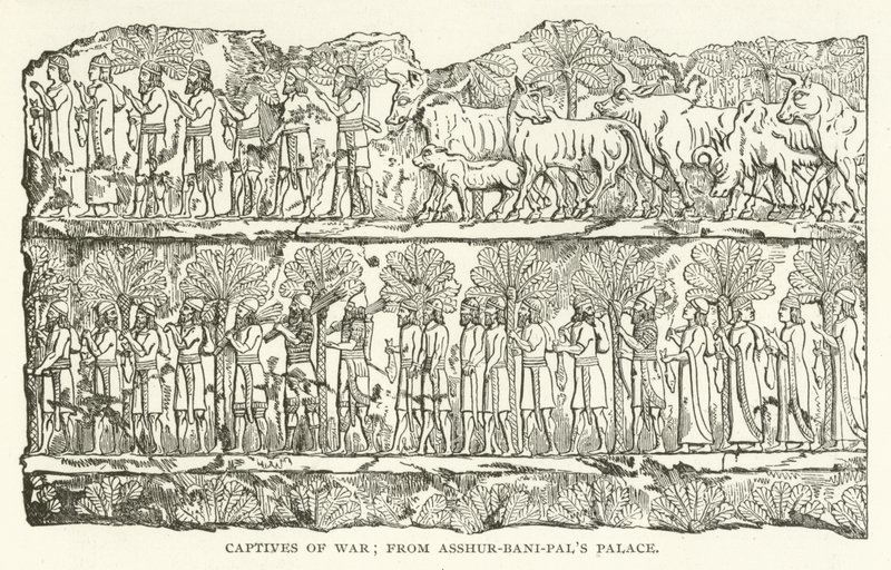 Captives of War; z paláce Asshur-bani-pals od American School