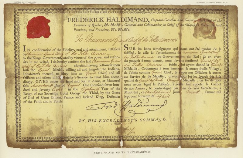 Certifikát Tshekatshakemau od American School