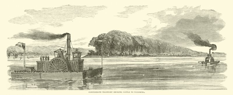 Konfederační doprava přivážející dobytek do Vicksburgu, únor 1863 od American School