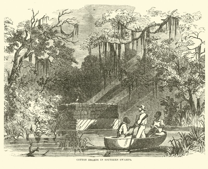 Bavlněné hromady v Southern Swamps, červenec 1862 od American School