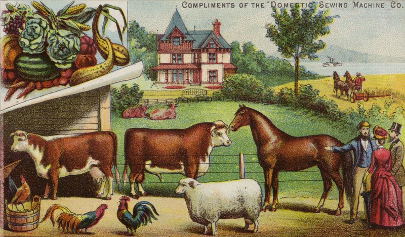 Farma A Zvířata od American School