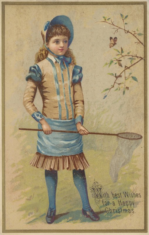 Dívka chytající motýla od American School