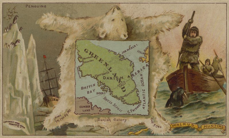 Grónsko, tučňáci, lední medvědi a lov mrožů (chromolit) od American School