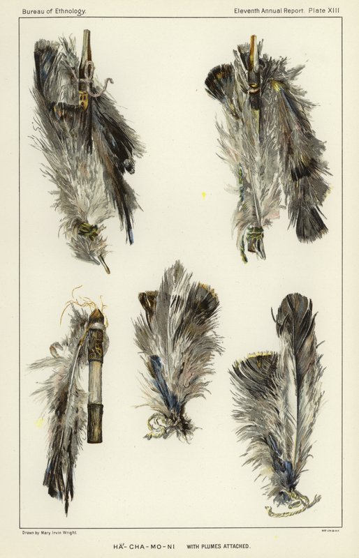 Ha-Cha-Mo-Ni with plumes attached od American School