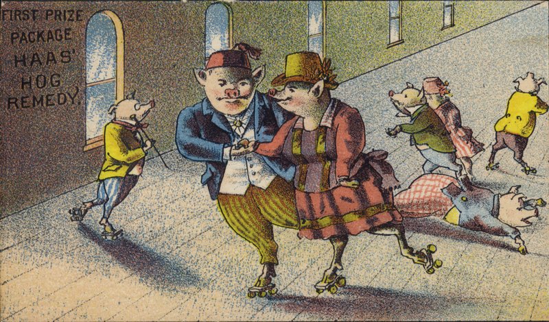 Hogs kolečkové bruslení od American School