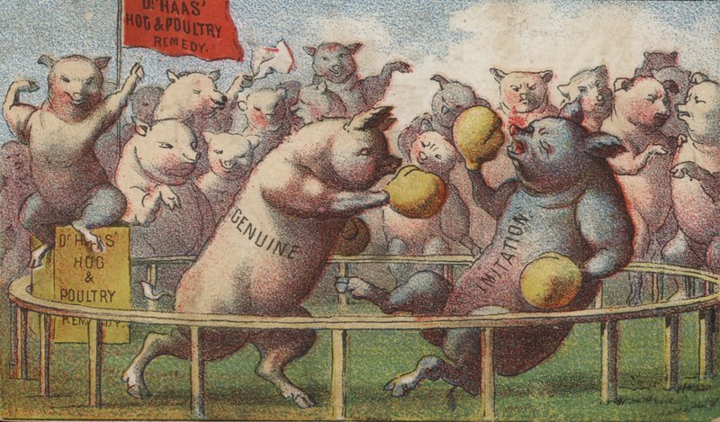 Prasata v boxerském ringu od American School