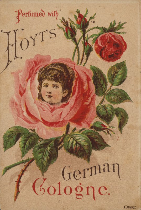 Hoyts německý Kolín nad Rýnem od American School