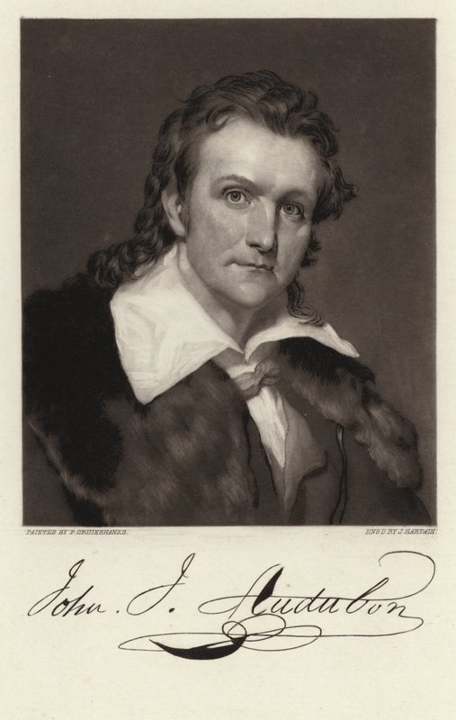John James Audubon od American School