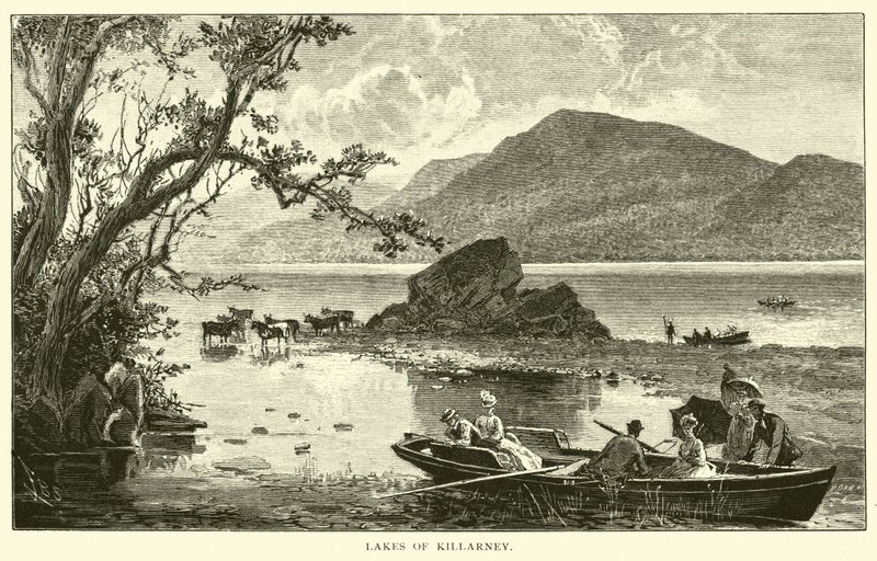 Jezera Killarney od American School