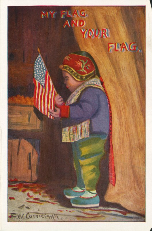 Moje vlajka a tvá vlajka (barva litho) od American School