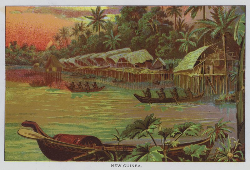 Nová Guinea od American School