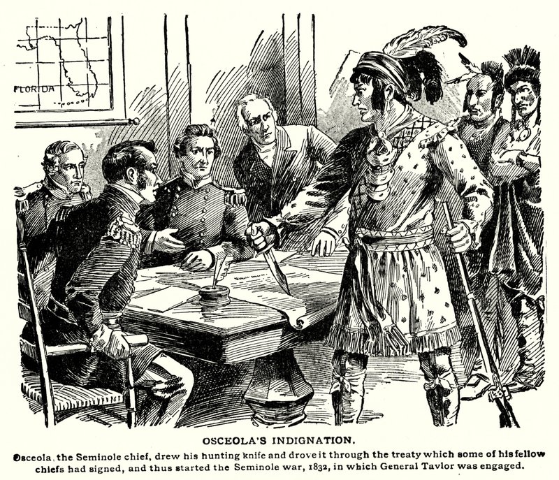 Osceolovo rozhořčení (litografie) od American School