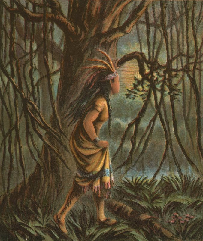 Pocahontas od American School