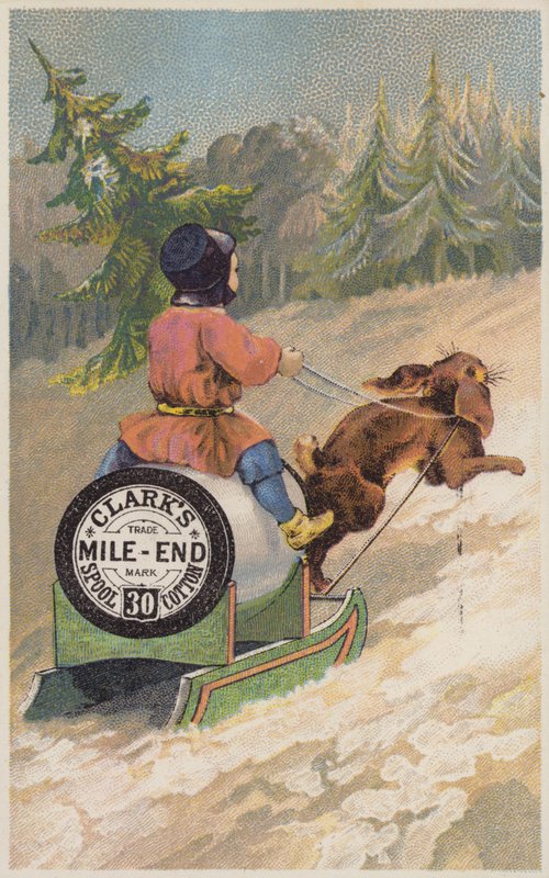 Králík Tahání Sáně Ve Sněhu od American School