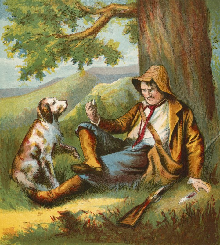 Rip Van Winkle od American School