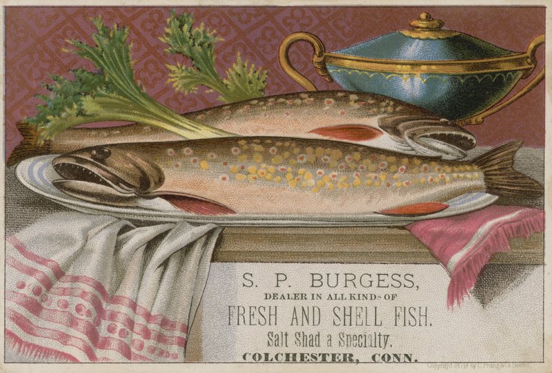 S P Burgessi, obchodní karta od American School