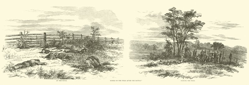 Scény na poli po bitvě, září 1862 od American School