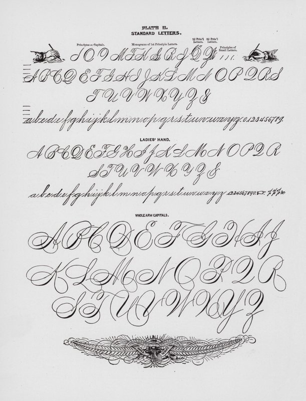 Standardní dopisy; Dámská ruka; Celá paže Capitals (rytina) od American School
