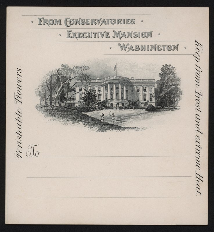 Bílý dům, Washington DC, USA (litho) od American School