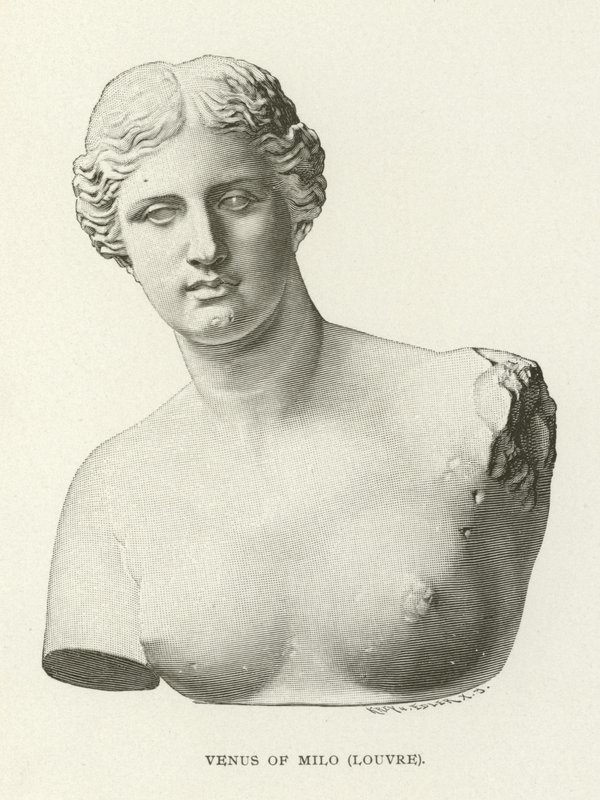 Venuše z Milo, Louvre od American School