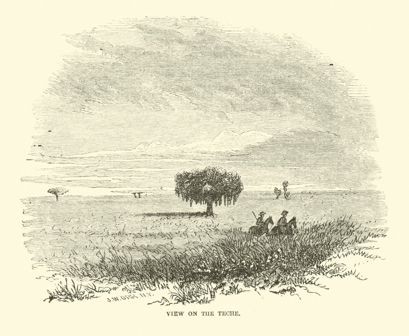 Pohled na Teche, duben 1863 od American School