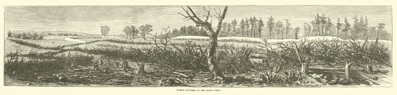 Díla zachycená šestým sborem, duben 1865 od American School