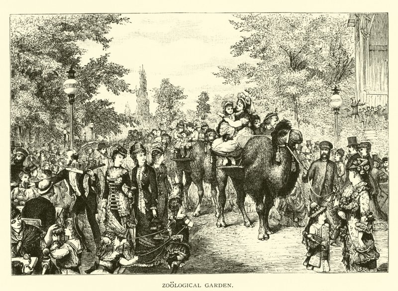 Zoologická zahrada od American School