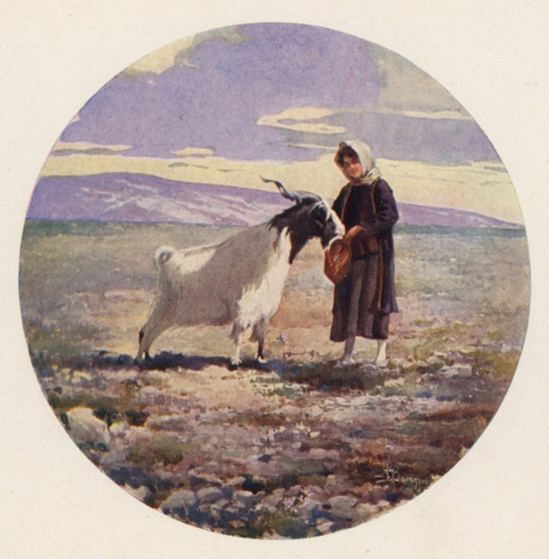 Pastýř koz, Attika, Řecko (barva lito) od Angelos Giallinos