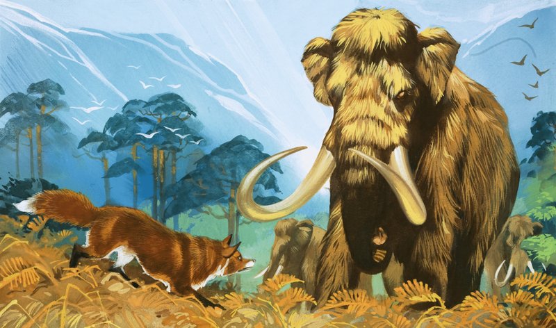 Liška útočí na mamuta od Angus McBride
