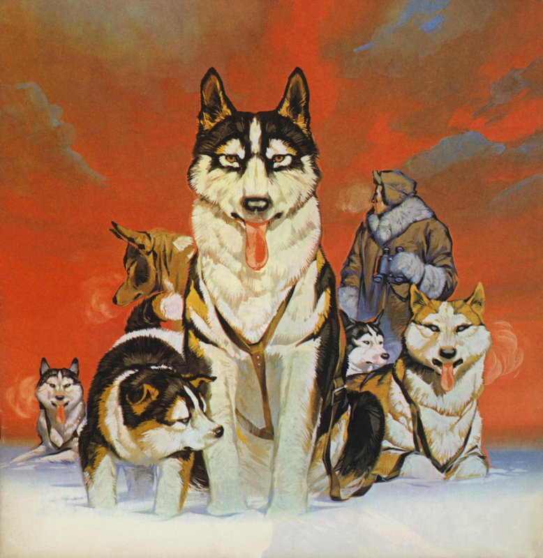 Huskies (barevná litografie) od Angus McBride
