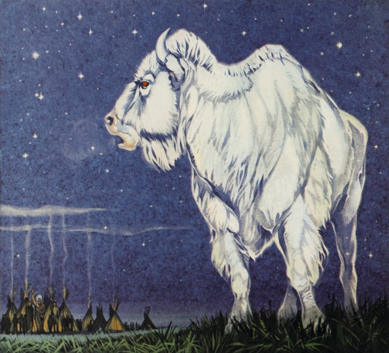 Bílý buvol (barevná litografie) od Angus McBride