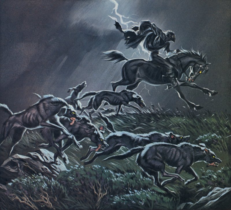 Divoký hon (barevná litografie) od Angus McBride