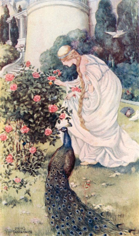 Příběh rytířů od Anne after Anderson
