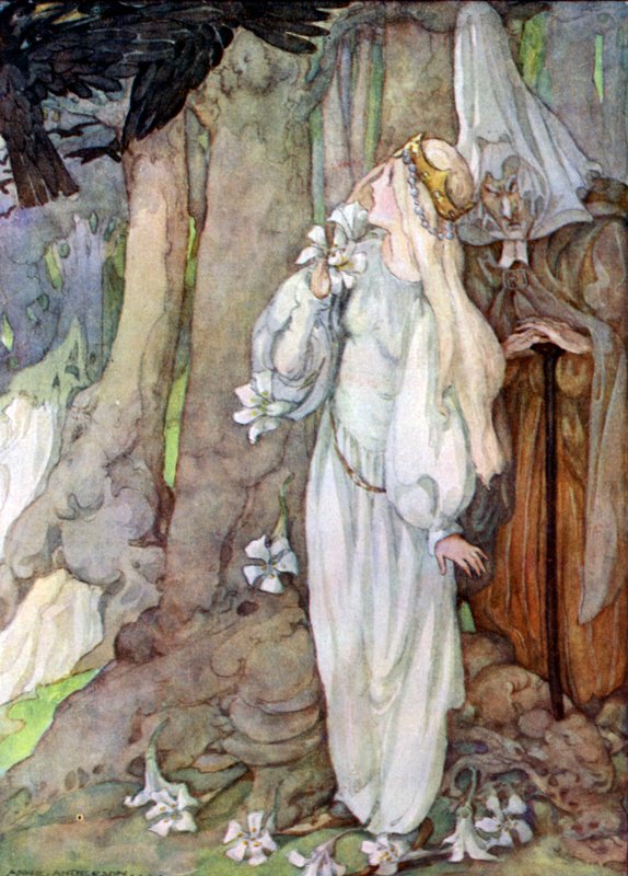 Dvanáct bratří od Anne after Anderson