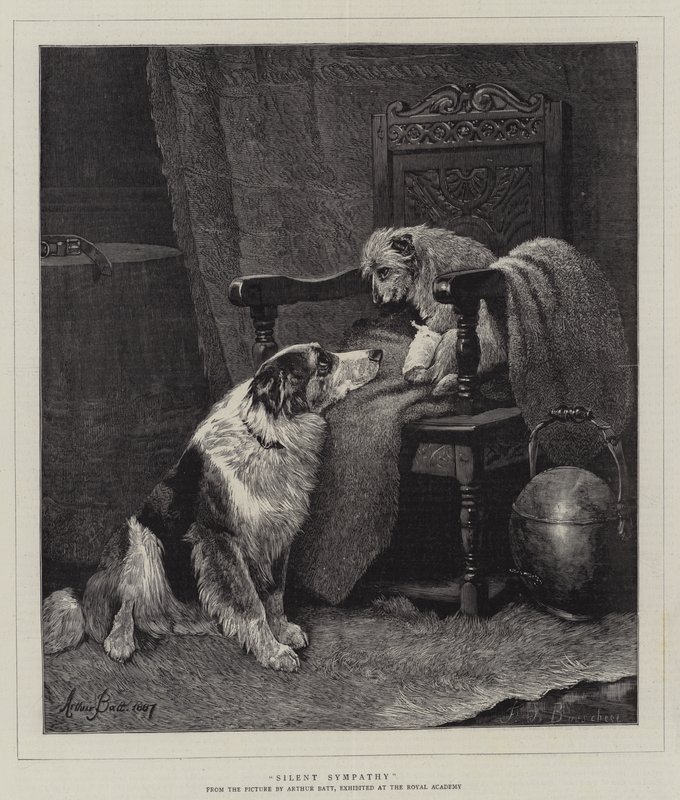 Tichý soucit od Arthur Batt