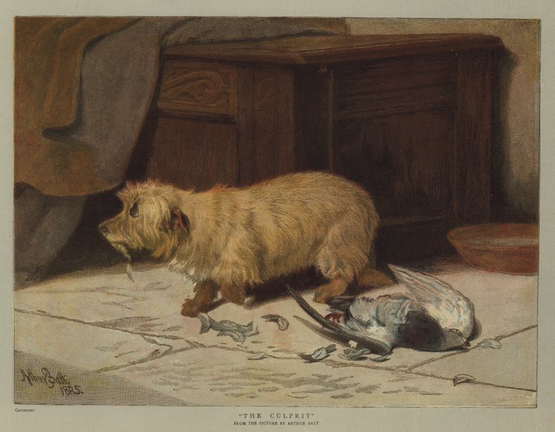 Viník (chromolitho) od Arthur Batt