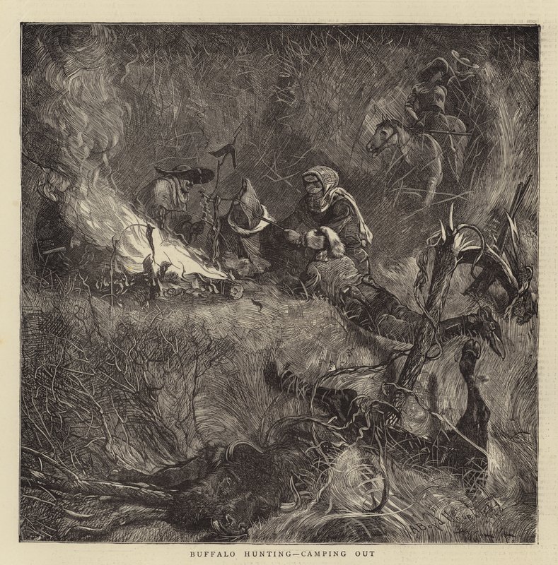 Lov buvolů, kempování od Arthur Boyd Houghton