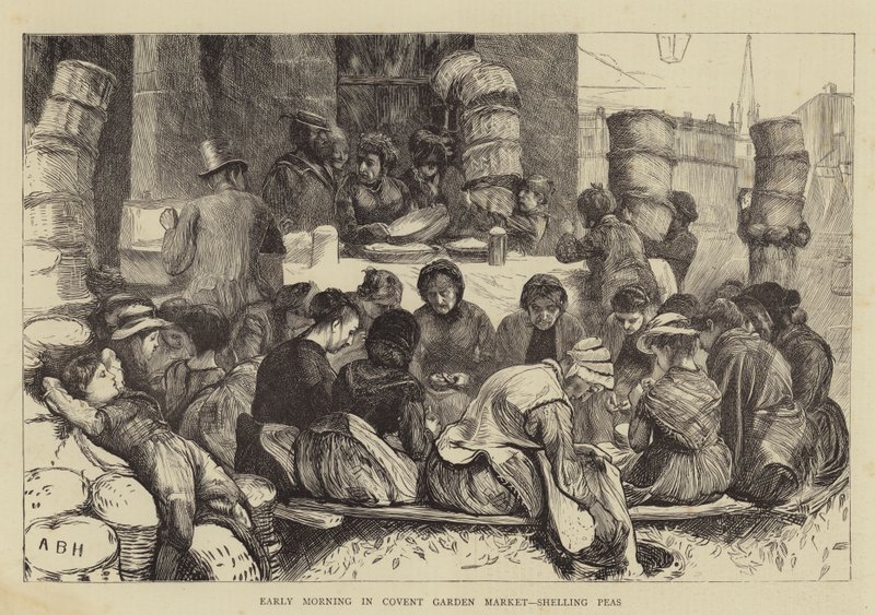 Brzy ráno na trhu Covent Garden, ostřelování hrášku od Arthur Boyd Houghton
