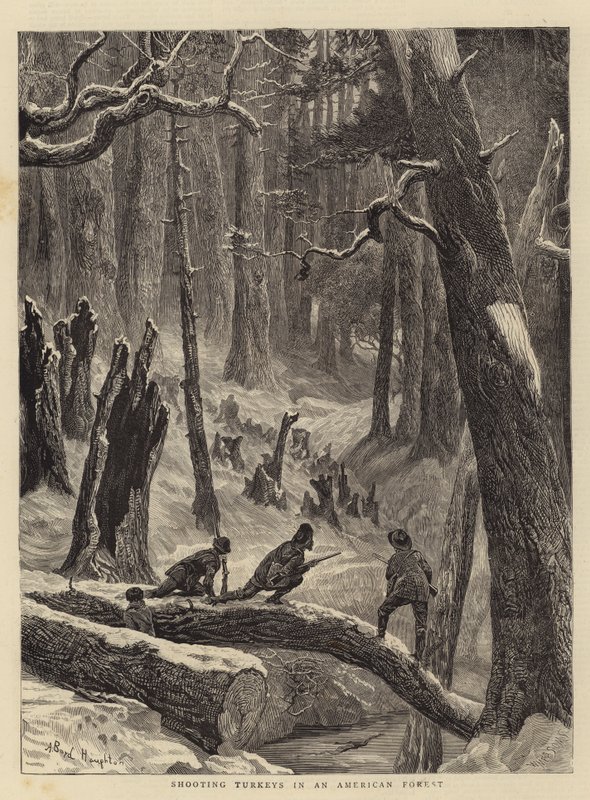 Střelba krocanů v americkém lese od Arthur Boyd Houghton