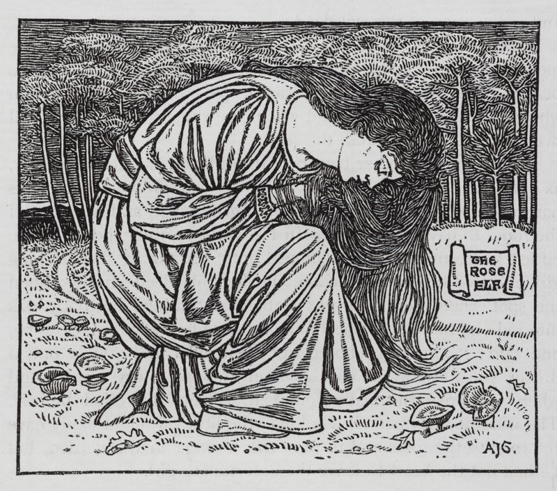 Hans Christian Andersen: Růžový elf (litho) od Arthur Joseph Gaskin