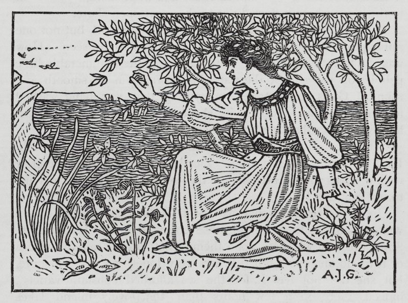 Hans Christian Andersen: Divoké labutě (litho) od Arthur Joseph Gaskin