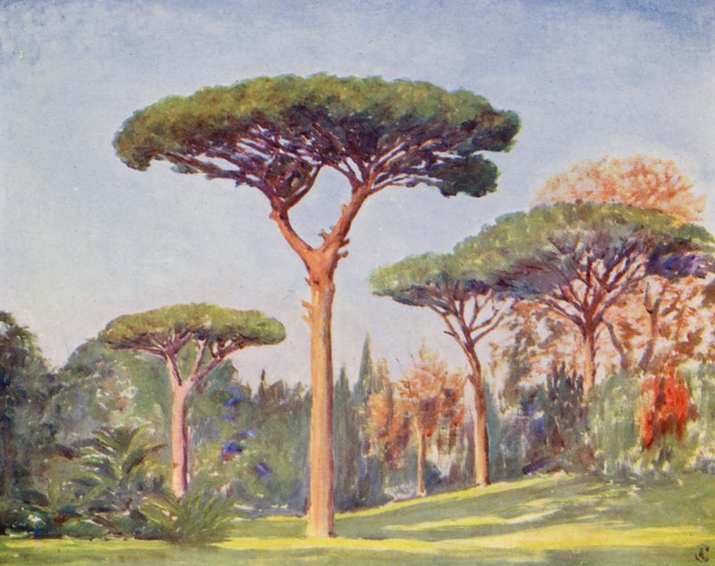 Rock Pines, Villa Floridiana (barevná litografie) od Augustine Fitzgerald