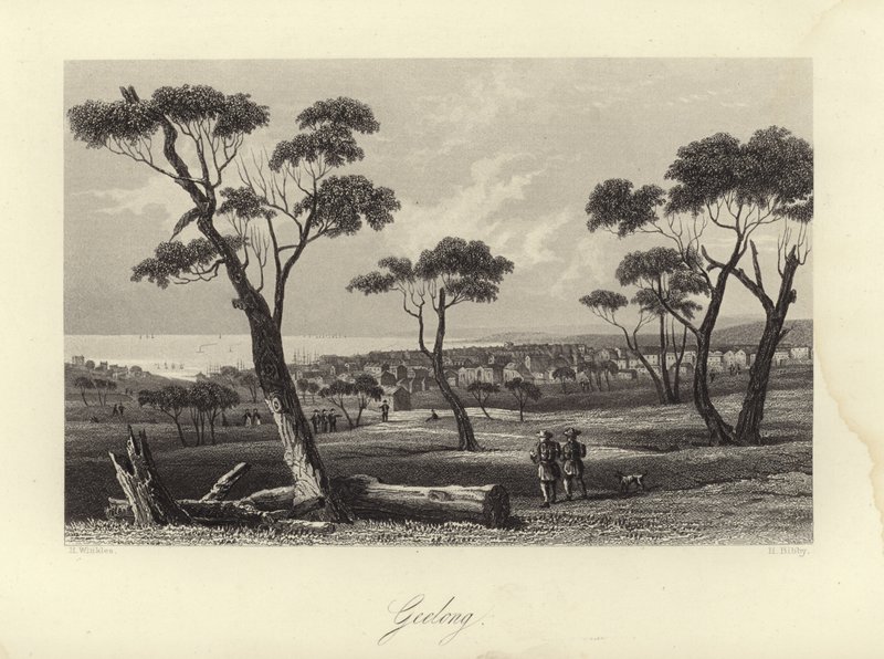 Geelong od Australian School